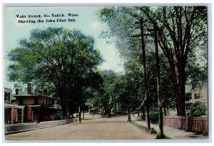 c1910's John Eliot Oak Main Street View Natick Massachusetts MA Antique Postcard