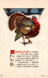 Thanksgiving Greetings With Turkey 1919