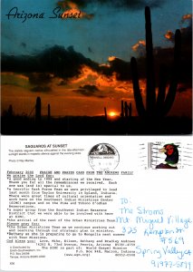 Arizona Sunset (10887)