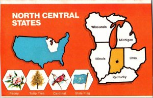 Vintage Postcard Indiana Map Peony Tulip Tree Cardinal State Flag JX7