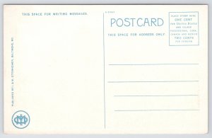 Baltimore Maryland~Cathedral & YMCA Building~Vintage Postcard