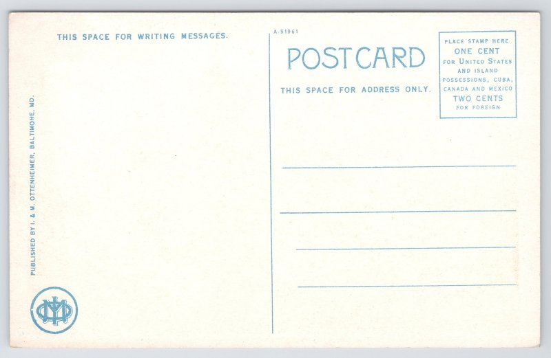 Baltimore Maryland~Cathedral & YMCA Building~Vintage Postcard