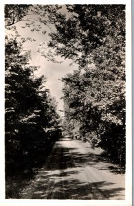 VINTAGE POSTCARD WALKWAY AT LAKE LOUISE CHRISTIAN COMMUNITY ALBION MICHIGAN RPPC