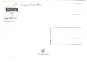 Hyacinth Macaw, Biodome, Montreal, Quebec. Bird