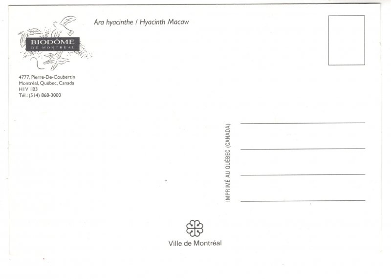 Hyacinth Macaw, Biodome, Montreal, Quebec. Bird