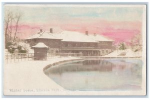 1908 Winter Scene Lincoln Park Tinted Chicago IL RPPC Photo Postcard 