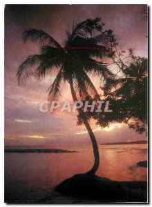 Postcard Modern Guadeloupe Ste Anne sunset