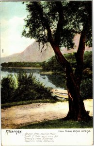 View from Dinis Island, Killarney Ireland Vintage Postcard B41