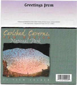 Carlsbad Caverns 12 View Folder post card.