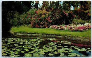 M-46464 Lily Pond and Colorful Display of Flowers in the Garden of the Southland