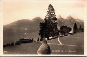 Switzerland Chesieres Aux Ecovets Ollon Vintage RPPC C033