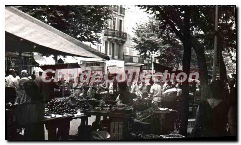 Modern Postcard Toulon Cours Lafayette