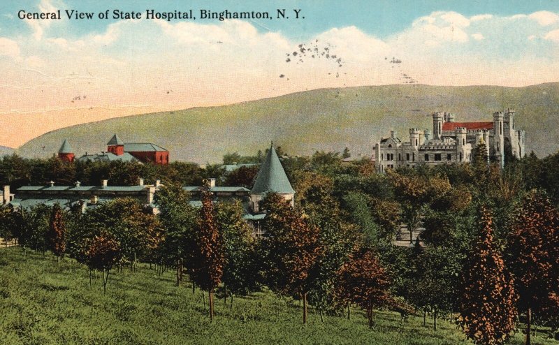 1915 General View Of State Hospital Binghamton New York Walter Vintage Postcard