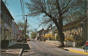 Postcard Mechanic Street New Hope Bucks County PA