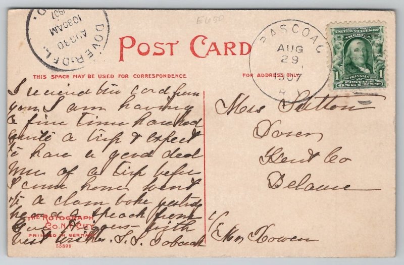 Farm Scene Block Island Rhode Island Postcard L33