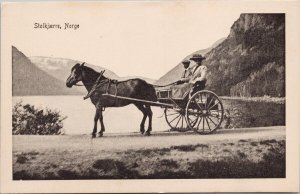 Stolkjaerre Norge Norway Horse Carriage Cart Unused National #141 Postcard H53a