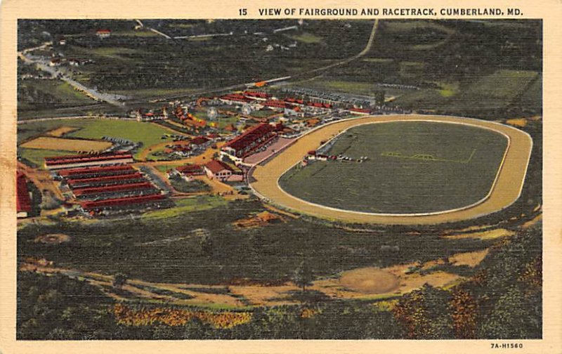 View of Fairground and Racetrack Cumberland, MD, USA Horse Racing Unused 