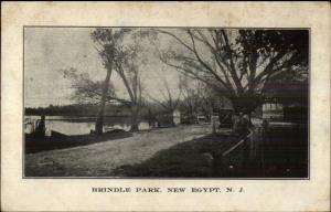 New Egypt NJ Brindle Park c1910 Postcard