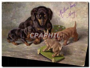 Postcard Old Dog Dogs Basset Rabbit