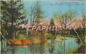 Old Postcard Forest of Fontainebleau Gorges Franchard Le Mars pigeon