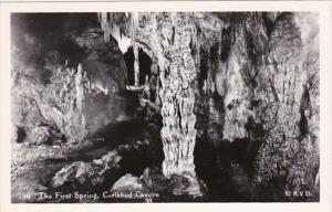 New Mexico Carlsbad Caverns The First Spring Real Photo