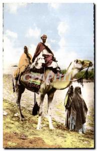 Old Postcard Algeria Camel Camel A Marabout