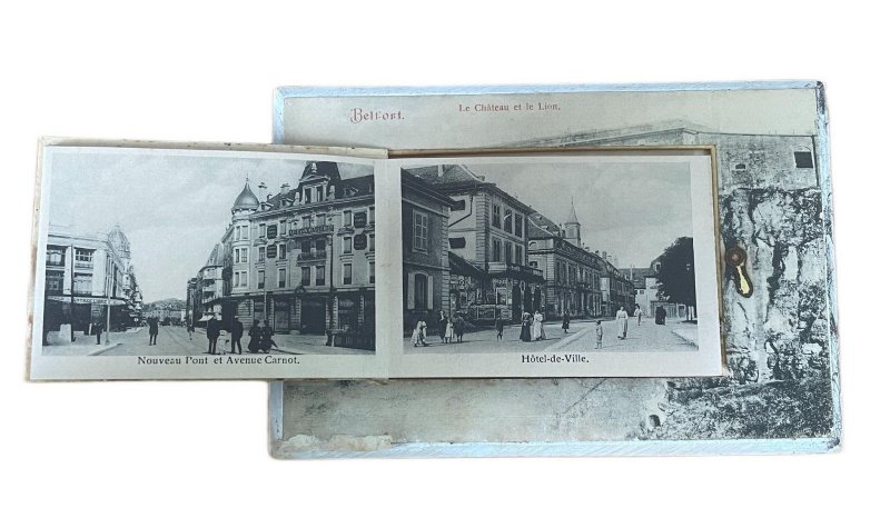 France Belfort castle and lion multi views inside rare postcard 