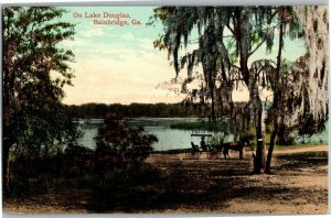 On Lake Douglas, Bainbridge GA View Overlooking Lake Vintage Postcard F61