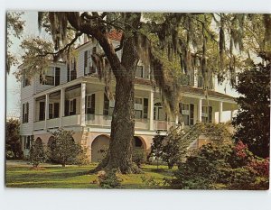 Postcard Marshlands, Beaufort, South Carolina
