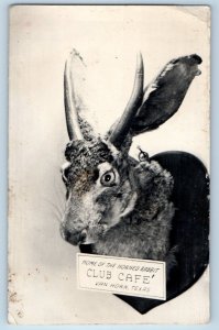 Van Horn Texas TX Postcard RPPC Photo Horned Rabbit Club Cafe c1910's Antique
