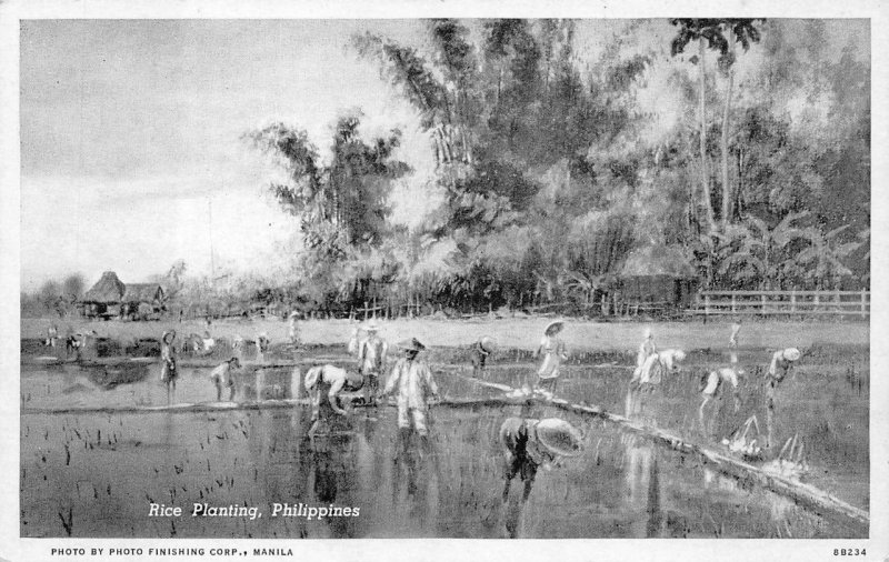 RICE PLANTING PHILIPPINES POSTCARD (1940s)
