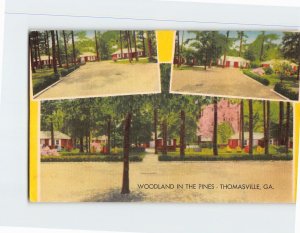 Postcard Woodland in the Pines Thomasville Georgia USA