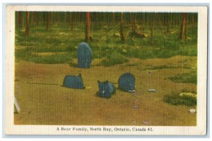 1950 A Bear Family North Bay Ontario Canada Vintage Posted Postcard