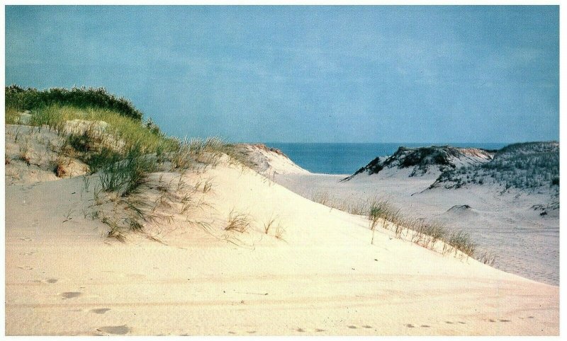 Lot 3 Greetings from Cape Cod Harbor & Sand Dunes Oversized Postcard