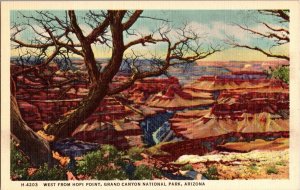 West from Hopi Point, Grand Canyon Nat'l Park Fred Harvey Vintage Postcard N50