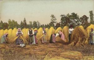 Harvest Scene People In Hay Field