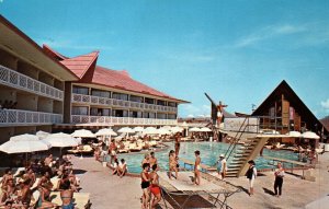 The Castaways Fairyland Island Pool,Miami Beach,FLOlive Park,Chicago,IL