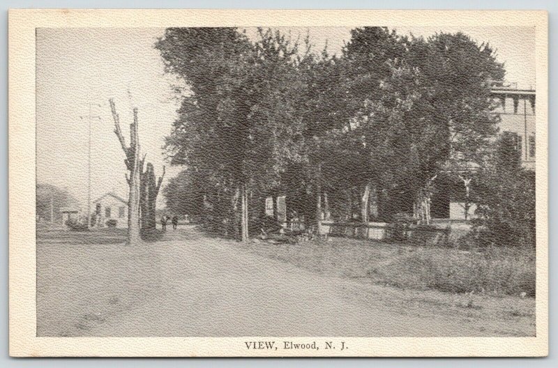 Elwood New Jersey~Two Men Chat Along Main Street~Homes~Dead Trees~1910 Postcard