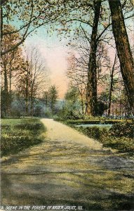 Vintage Postcard; Scene in Forest of Arden, Joliet IL Will County, Wheelock