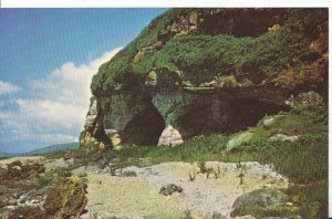 Scotland Postcard - Isle of Arran Caves Blackwaterfoot. Used Postcard 6163A