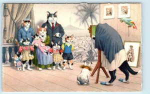 Mainzer Dressed Cats PHOTOGRAPHER FAMILY PHOTO Kittens Kunzli # 4724   Postcard