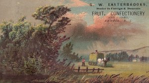 1880's G. W. Easterbrooks Lovely Candy & Fruit Victorian Trade Card #2 P133