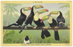 US Used. California. Toucans - Bird Park - S. California. Stamp #604. Nice