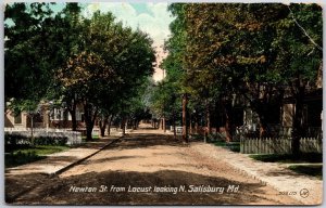 Newton Street From Locust Looking North Salisbury Maryland MD Houses Postcard