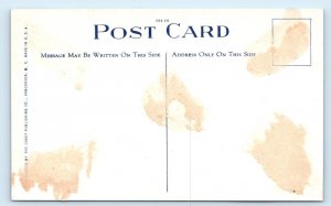 Pendray's Garden - Teddy Bear & Monkey Puzzle Tree - Victoria CANADA Postcard