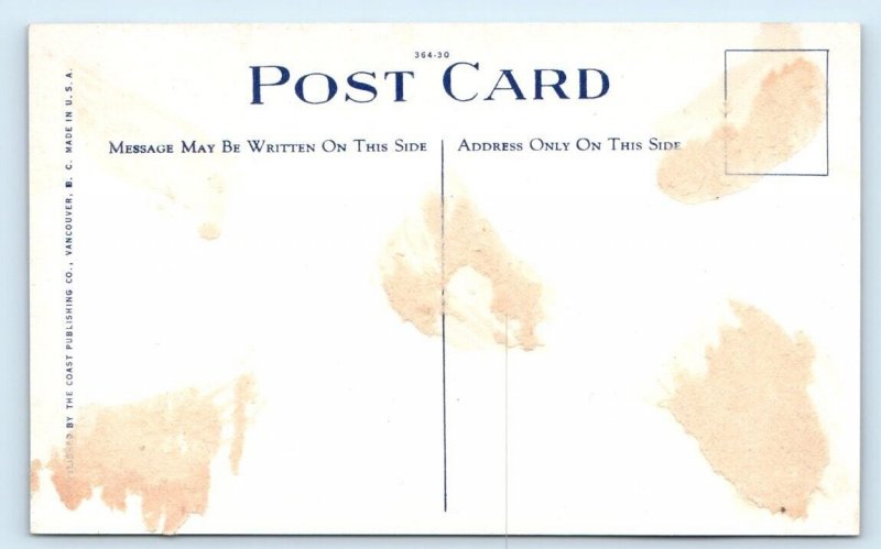 Pendray's Garden - Teddy Bear & Monkey Puzzle Tree - Victoria CANADA Postcard