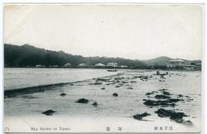 Sea Shore of Dzshi Japan 1910c postcard