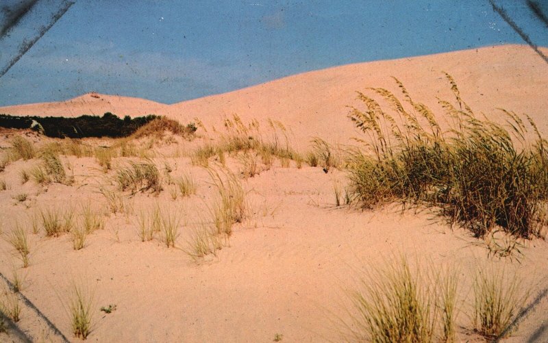 Postcard Jockey's Ridge Nags Paradise Golden Sand Sea Oats Head North Carolina