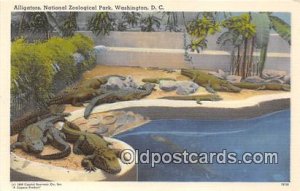 Washington DC, USA Alligators National Zoological Park Unused 