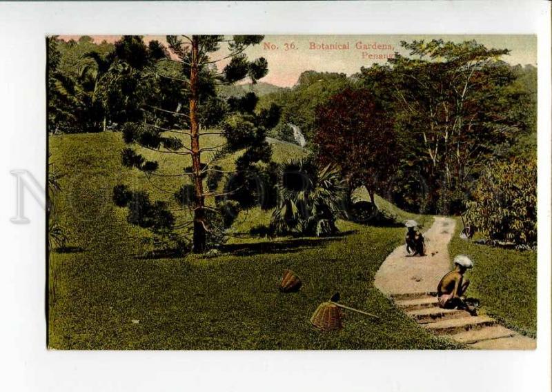 271015 Malaysia PENANG Botanical Gardens Vintage postcard